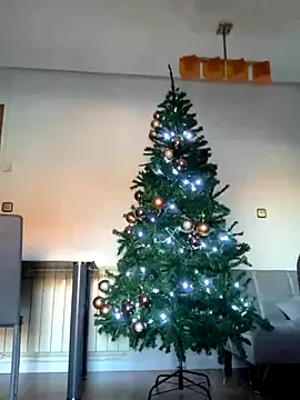 Ryan-hot online show from December 5, 2024, 10:55 am