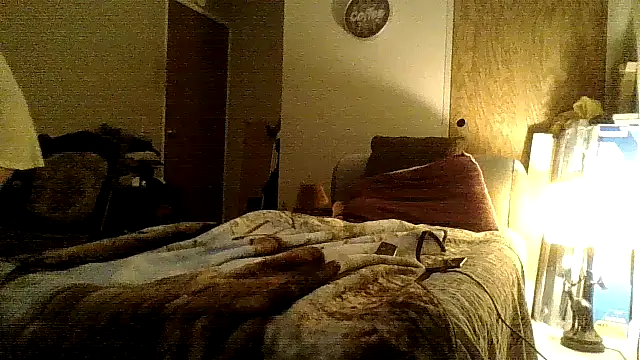 Snapshot of Jay81 chatting on December 18, 2024, 9:04 am Jay81 online show from December 18, 2024, 9:04 am