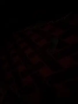 sosarax online show from October 7, 2025, 11:18 am