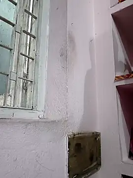 xaviersbrowndick online show from October 9, 2025, 8:23 am