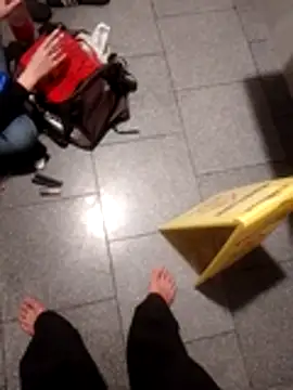 subaru8291 online show from October 30, 2025, 11:55 am