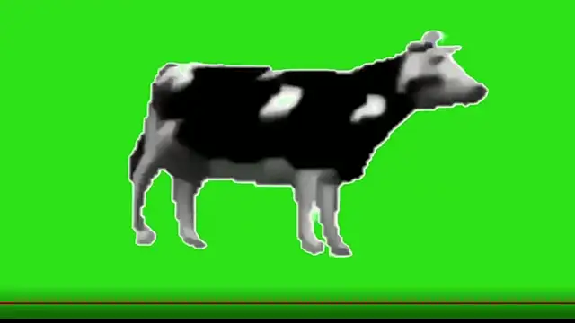 Snapshot of awesome_anna chatting on February 13, 2026, 10:55 am awesome anna online show from February 13, 2026, 10:55 am