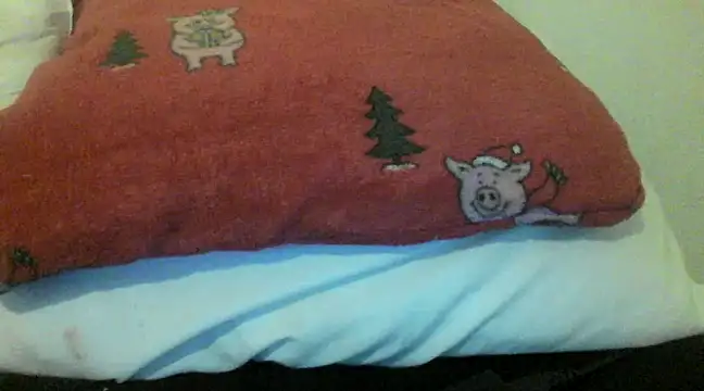 bunnyamy online show from December 5, 2024, 6:00 pm