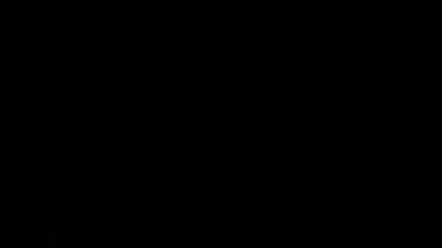 taallguyy 196 online show from November 23, 2025, 10:15 am