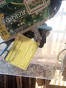 Snapshot of Skinny_Bigass_23 chatting on November 16, 2025, 7:25 am Skinny Bigass 23 online show from November 16, 2025, 7:25 am