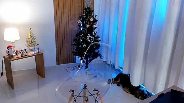  Sam sexy  online show from December 11, 2024, 10:16 pm