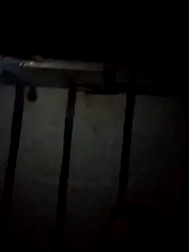 Snapshot of Love-Veronica chatting on February 11, 2026, 2:00 pm Love-Veronica online show from February 11, 2026, 2:00 pm