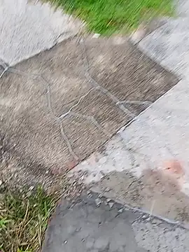 homenbuscalacto online show from January 16, 2026, 8:51 am