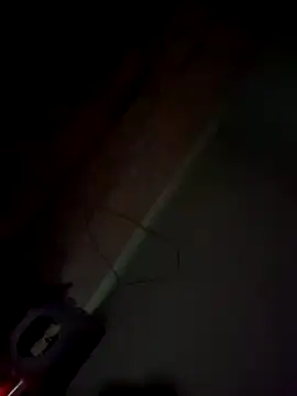 Snapshot of imissyoumylove14 chatting on January 21, 2025, 7:47 am imissyoumylove14 online show from January 21, 2025, 7:47 am