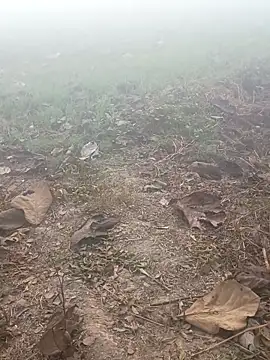 Snapshot of imissyoumylove14 chatting on January 17, 2026, 1:32 am imissyoumylove14 online show from January 17, 2026, 1:32 am