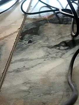 Snapshot of imissyoumylove14 chatting on February 7, 2026, 7:56 am imissyoumylove14 online show from February 7, 2026, 7:56 am