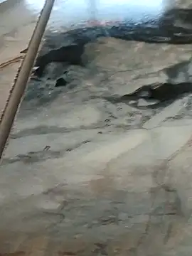 Snapshot of imissyoumylove14 chatting on February 8, 2026, 8:40 am imissyoumylove14 online show from February 8, 2026, 8:40 am