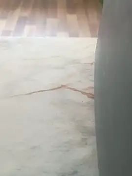 Snapshot of imissyoumylove14 chatting on March 29, 2026, 6:57 am imissyoumylove14 online show from March 29, 2026, 6:57 am