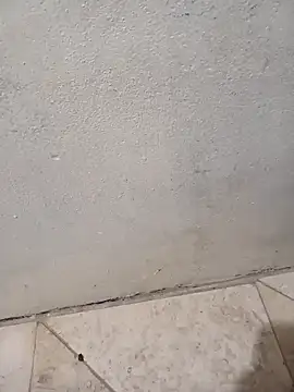 lemon69Reo online show from February 8, 2026, 6:39 am