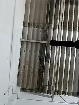 Sex-Nia online show from December 19, 2024, 4:57 pm