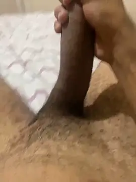 Lukinhabh online show from December 13, 2024, 12:09 am