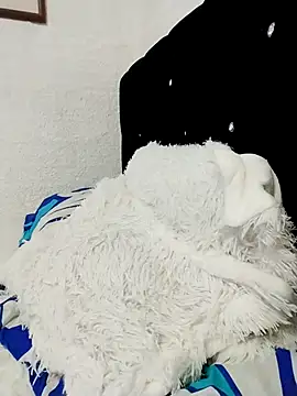 ElizabethWeil online show from December 15, 2025, 3:16 pm