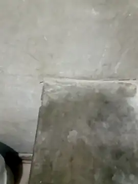 Juan 45 online show from April 13, 2026, 9:04 am