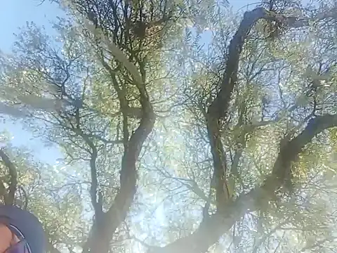 Snapshot of Darly_Gomez chatting on December 22, 2024, 3:22 pm Darly Gomez online show from December 22, 2024, 3:22 pm