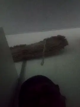 Snapshot of Darly_Gomez chatting on February 9, 2025, 5:33 pm Darly Gomez online show from February 9, 2025, 5:33 pm