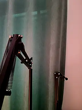 Snapshot of Weiwei5200 chatting on November 26, 2025, 1:56 pm Weiwei5200 online show from November 26, 2025, 1:56 pm