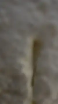 Snapshot of tuty_Tap chatting on December 7, 2024, 5:31 pm tuty Tap online show from December 7, 2024, 5:31 pm