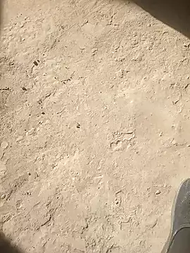 dick-boy-arabic1 online show from December 19, 2024, 12:34 pm