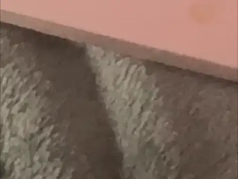 Snapshot of BCNguy1 chatting on January 16, 2026, 1:42 am BCNguy1 online show from January 16, 2026, 1:42 am