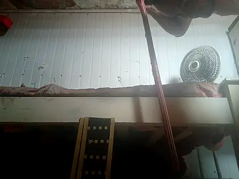 frotasso online show from February 14, 2026, 2:25 pm