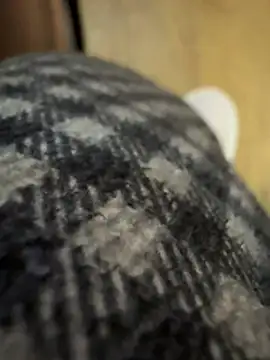 gunian online show from January 10, 2026, 9:33 am