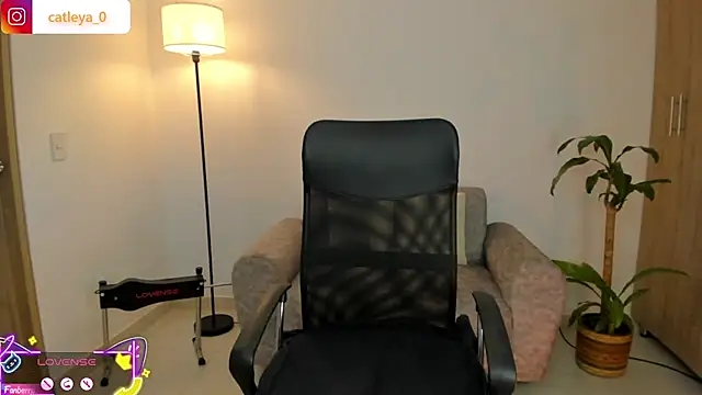 catleya 0 online show from February 15, 2026, 3:03 am