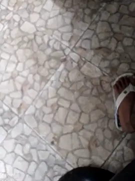 Snapshot of Pretordr chatting on March 12, 2025, 9:02 am Pretordr online show from March 12, 2025, 9:02 am