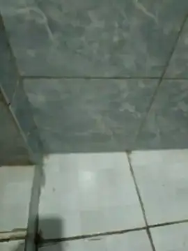 Snapshot of Pretordr chatting on March 12, 2025, 10:28 pm Pretordr online show from March 12, 2025, 10:28 pm