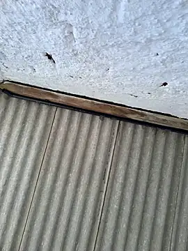 alexjs84 online show from November 22, 2025, 3:44 pm