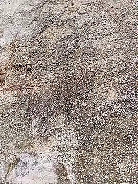 Eleni Pappa online show from April 6, 2026, 9:10 am