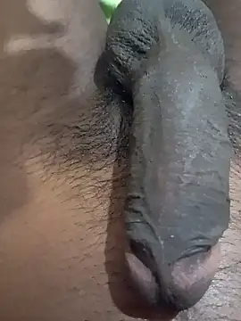 Snapshot of tharu111111 chatting on January 27, 2025, 4:54 pm tharu111111 online show from January 27, 2025, 4:54 pm