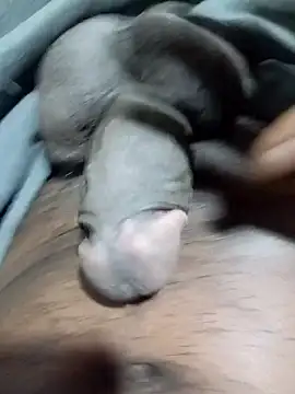 tharu111111 online show from April 1, 2026, 7:22 pm