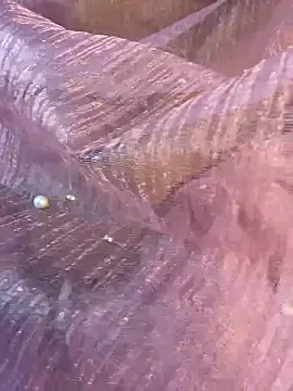 honeyboobies7249 online show from January 14, 2026, 6:46 pm