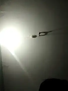 jaydev madhuri online show from March 19, 2026, 7:45 am