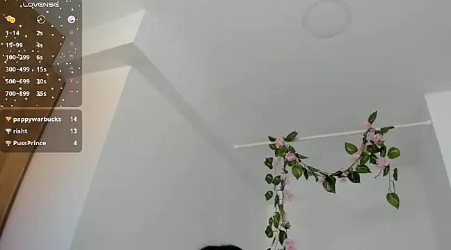 Snapshot of Ninna--1 chatting on January 12, 2025, 6:49 pm Ninna--1 online show from January 12, 2025, 6:49 pm