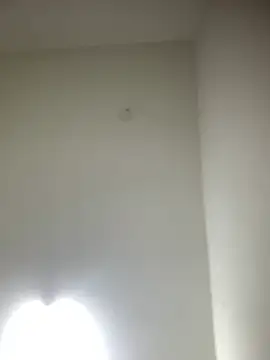 Snapshot of bidex002 chatting on May 15, 2026, 11:12 pm bidex002 online show from May 15, 2026, 11:12 pm