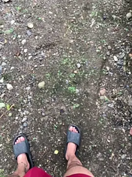 seven7xis online show from January 1, 2025, 9:09 pm