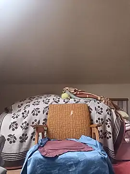 danitomii online show from March 31, 2026, 6:25 am