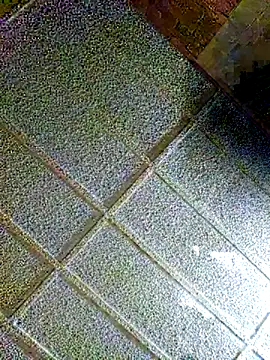 Snapshot of zaneporter46 chatting on February 4, 2025, 8:59 pm zaneporter46 online show from February 4, 2025, 8:59 pm