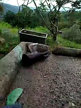 Snapshot of crazysex095 chatting on January 2, 2025, 8:46 pm crazysex095 online show from January 2, 2025, 8:46 pm