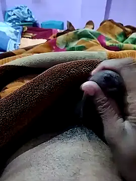 PLAYBOYYRAAJ online show from December 30, 2024, 3:13 pm