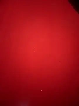 EazyBoyFucks online show from November 29, 2025, 10:07 am