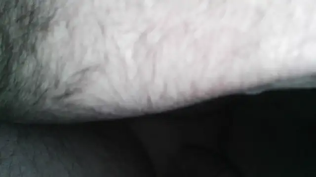 Snapshot of henry_county_couple2 chatting on April 30, 2026, 4:41 am henry county couple2 online show from April 30, 2026, 4:41 am