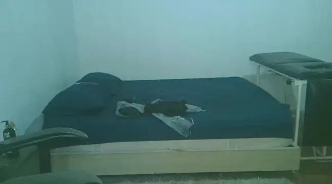 Snapshot of David_Adams2003 chatting on February 2, 2025, 4:54 pm David Adams2003 online show from February 2, 2025, 4:54 pm