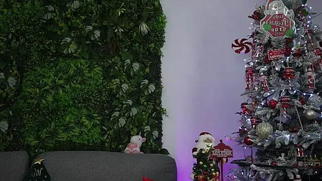 amiraroshen online show from December 22, 2025, 8:06 pm